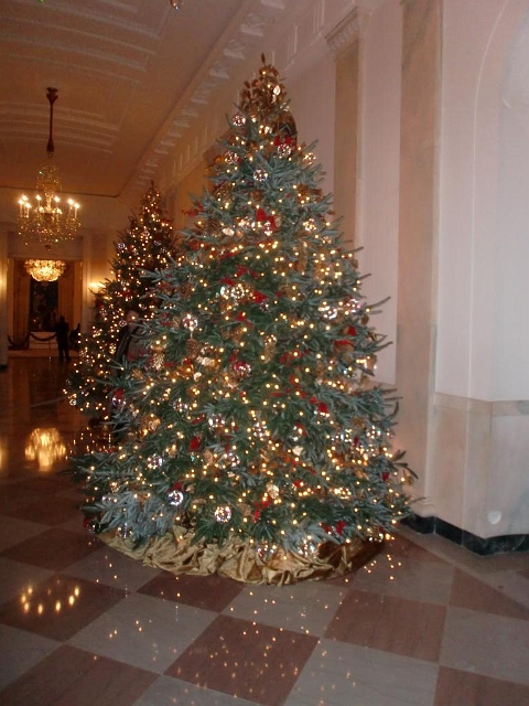 White House Christmas 2009 072.jpg
